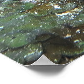 Gruppe auf der Reinigungsstation Poster (Ecke)