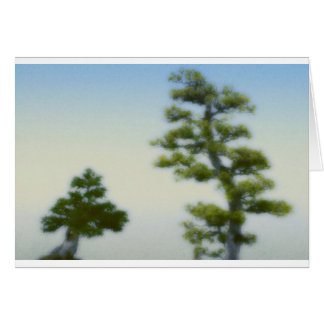 Gruppe Bonsais-Kiefer