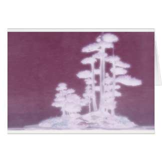 Gruppe Bonsais-Kiefer