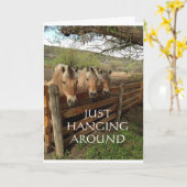 GRUPPE COOLER PFERDE SAGT "GLÜCKLICHER GEBURTSTAG" KARTE (Gelbe Blume)