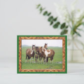 Gruppe der Appaloosa Pferde Postkarte (Stehend Vorderseite)
