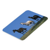 Gruppe der Araber Magnet (Linke Seite)