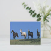 Gruppe der Araber Postkarte (Stehend Vorderseite)