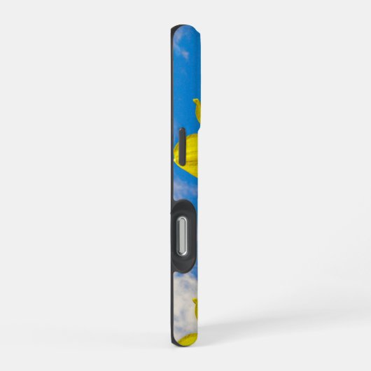 Gruppe der Daffodils Gold Medal Blume Handy Fall iPhone Hülle (Rechte Seite)