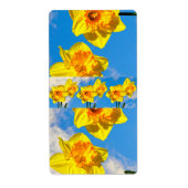 Gruppe der Daffodils Goldmedaille-Blume (Vorne)