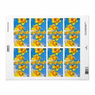 Gruppe der Daffodils Goldmedaille-Blume