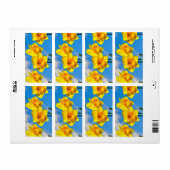 Gruppe der Daffodils Goldmedaille-Blume (Vorne)