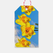 Gruppe der Daffodils Goldmedaille-Blume Geschenkanhänger (Rückseite)