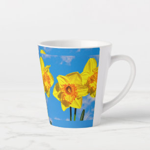 Gruppe der Daffodils Goldmedaille-Blume Milchtasse