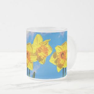 Gruppe der Daffodils Goldmedaille Blume Tasse