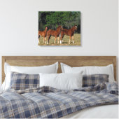Gruppe der durchsichtigen Fohlen Leinwanddruck (Insitu (Schlafzimmer))