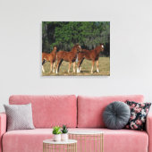 Gruppe der durchsichtigen Fohlen Leinwanddruck (Insitu (Wohnzimmer))