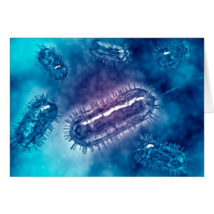 Gruppe der Escherichia coli Bacteria cells 1