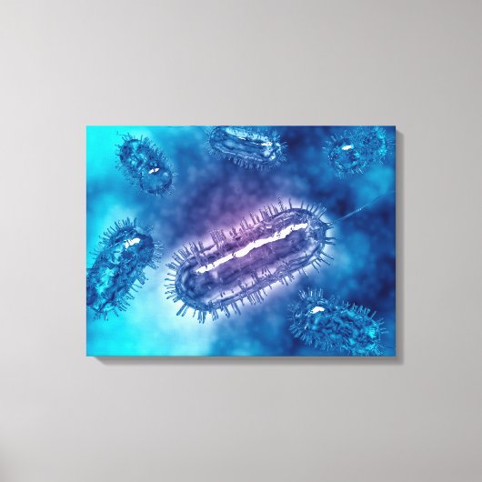 Gruppe der Escherichia coli Bacteria cells 1 Leinwanddruck (Vorderseite)