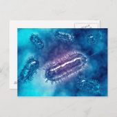 Gruppe der Escherichia coli Bacteria cells 1 Postkarte (Vorne/Hinten)