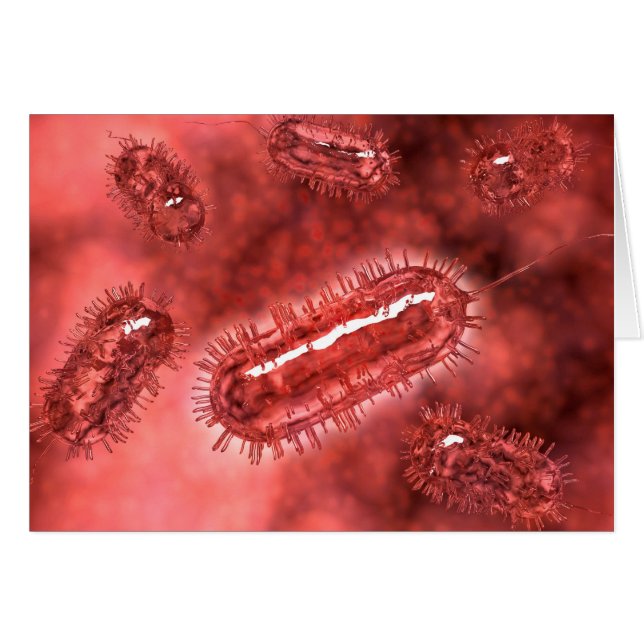 Gruppe der Escherichia coli Bacteria cells 2 (Vorderseite (Horizontal))