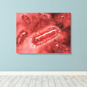 Gruppe der Escherichia coli Bacteria cells 2 Leinwanddruck (Insitu (Holzboden))