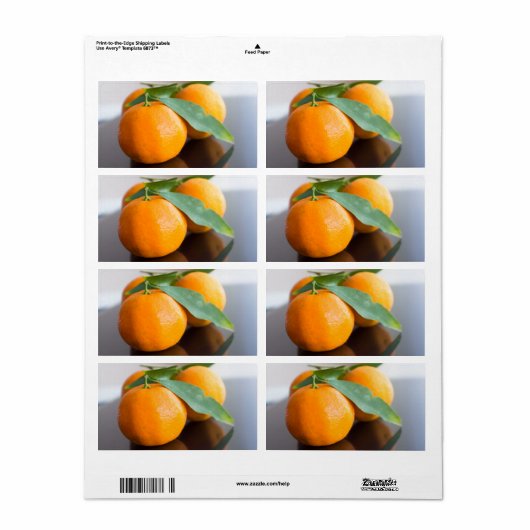 Gruppe der frischen Mandarinen (Vorne)