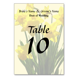 Gruppe der gelben Nadelöle Tischnummer