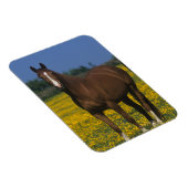 Gruppe der gestrandeten Pferde Magnet (Rechte Seite)