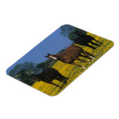 Gruppe der gestrandeten Pferde Magnet (Linke Seite)