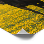 Gruppe der gestrandeten Pferde Poster (Ecke)