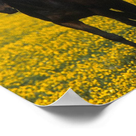 Gruppe der gestrandeten Pferde Poster (Ecke)