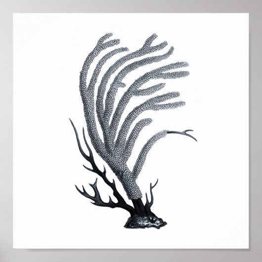 Gruppe der grauen Meereswelt 12A Print #11 Sea cor Poster (Vorne)