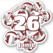 Gruppe der grauen Volleyballs Aufkleber (Vorderseite)