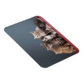 Gruppe der Kätzchen Magnet (Rechte Seite)