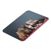 Gruppe der Kätzchen Magnet (Linke Seite)