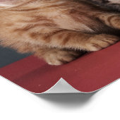 Gruppe der Kätzchen Poster (Ecke)