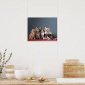 Gruppe der Kätzchen Poster (Küche)