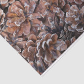 Gruppe der Kiefern-Kegel Seidenpapier (Ausschnitt)