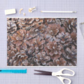 Gruppe der Kiefern-Kegel Seidenpapier (Handwerk)