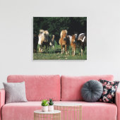 Gruppe der Miniaturfohlen Leinwanddruck (Insitu (Wohnzimmer))