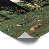 Gruppe der Miniaturfohlen Poster (Ecke)