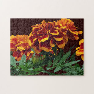 Gruppe der orangefarbenen Marigolde mit gelben Spi Puzzle