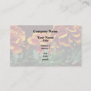 Gruppe der orangefarbenen Marigolde mit gelben Spi Visitenkarte