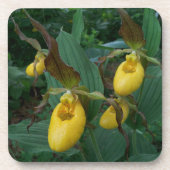 Gruppe der orchiden Blume der Gelben Dame Getränkeuntersetzer (Vorderseite)