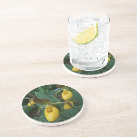 Gruppe der orchiden Blume der Gelben Dame Getränkeuntersetzer (Seite)