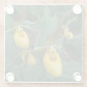 Gruppe der orchiden Blume der Gelben Dame Glasuntersetzer (Rückseite)