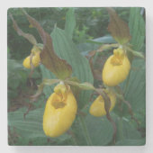 Gruppe der orchiden Blume der Gelben Dame Steinuntersetzer (Vorderseite)