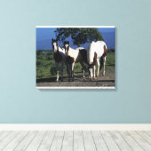 Gruppe der Paint Horses Leinwanddruck (Insitu (Holzboden))
