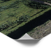 Gruppe der Paint Horses Poster (Ecke)