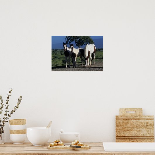 Gruppe der Paint Horses Poster (Küche)