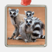 Gruppe der Ringschwanzlemoren Ornament Aus Metall (Vorne)