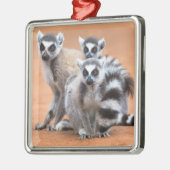 Gruppe der Ringschwanzlemoren Ornament Aus Metall (Links)