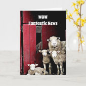 "GRUPPE DER SCHAFE" IHRE ROCKGRATULATIONEN KARTE (Gelbe Blume)