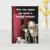 "GRUPPE DER SCHAFE" WÜNSCHT IHNEN "GLÜCKLICHER GEB KARTE (Gelbe Blume)